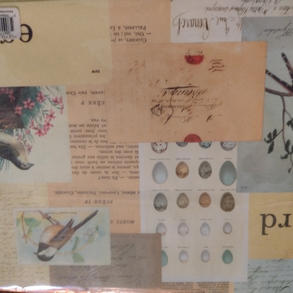 File Folders: bird print - Picture 9 of 11